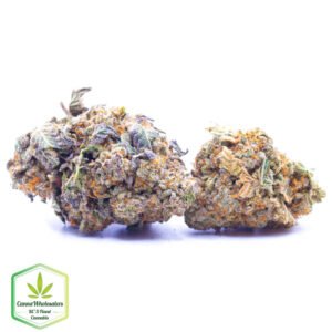 Budget Oz - Bakerstreet