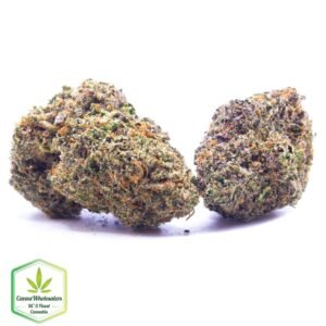 Budget Oz - Cannawholesalers - Jelly Breath