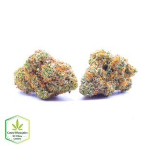 Budget Oz - Fire Haze