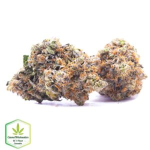 Budget Oz - Gangster OG