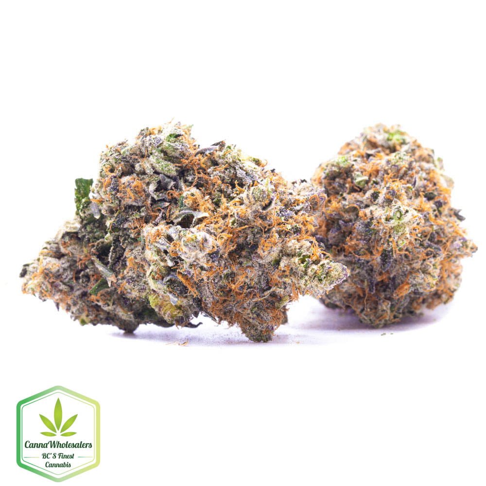 Budget Oz - Gangster OG