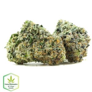 Budget Oz - King Louis