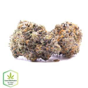 Budget Oz - Lindsay OG
