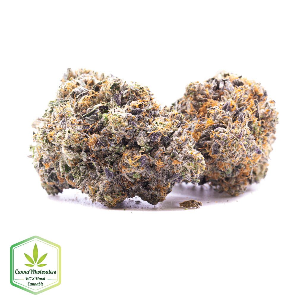 Budget Oz - Lindsay OG