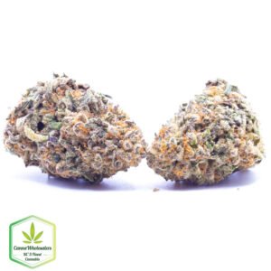 Budget Oz - Mekamika Haze