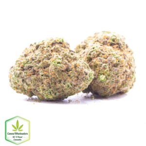 Budget Oz - Nightmare Cookies