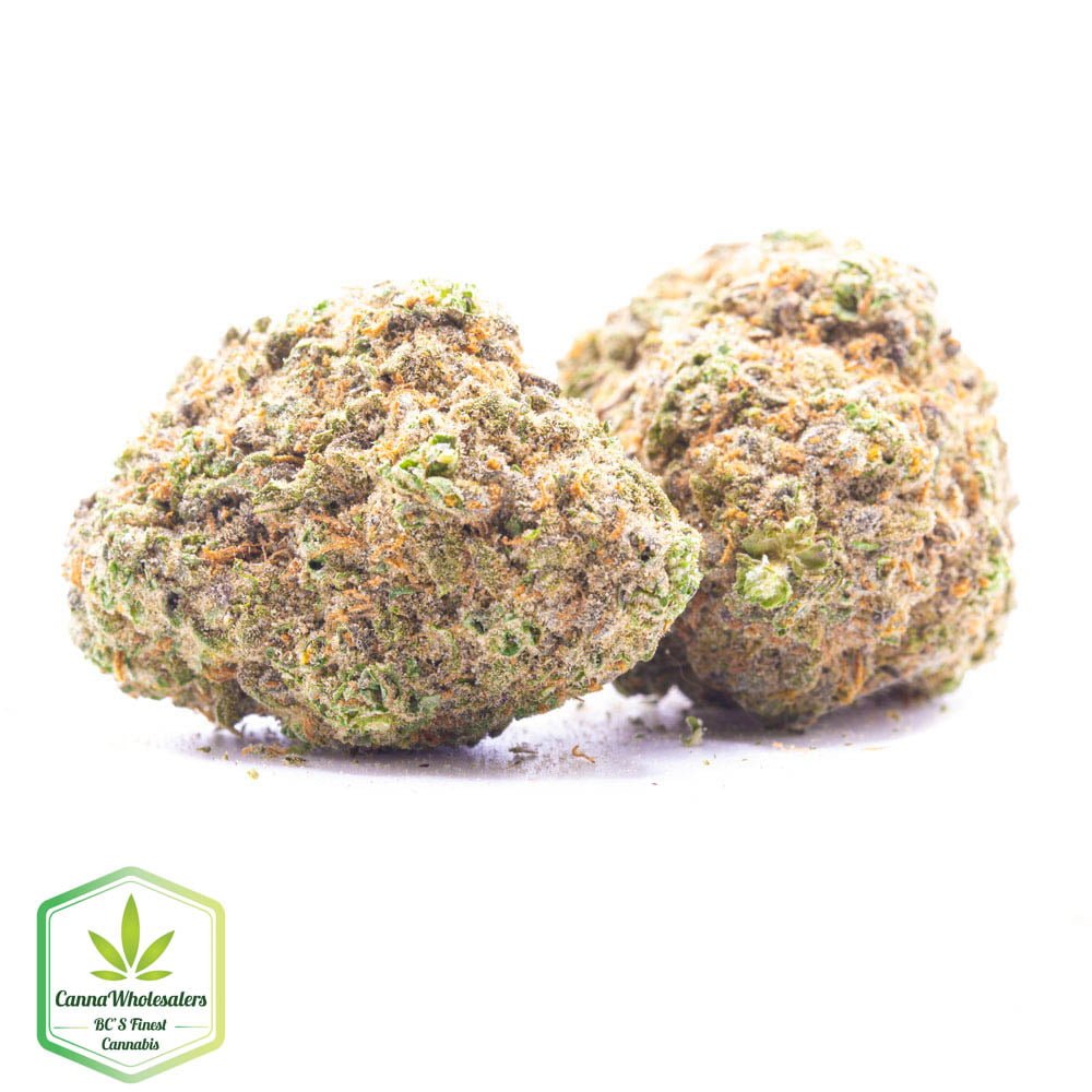 Budget Oz - Nightmare Cookies