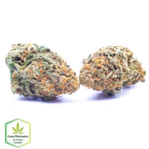 Budget Oz - NY Cheese
