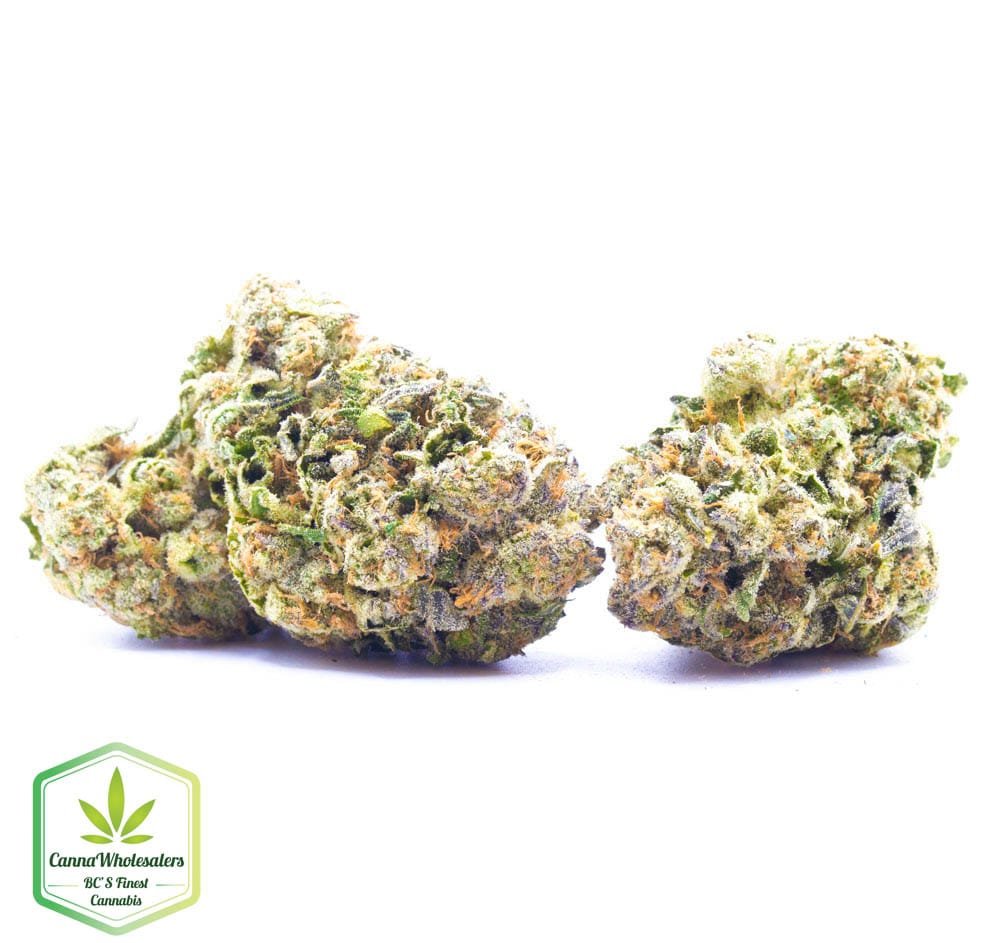 Budget Oz - Pineapple Super Silver Haze - Craft Gardens