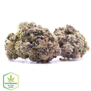 Budget Oz - Pink Rozay