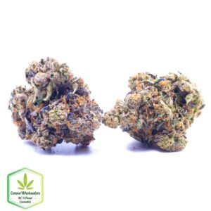 Budget Oz - Pink Tuna