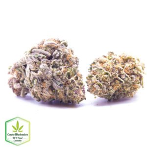 Budget Oz - Purple Dream
