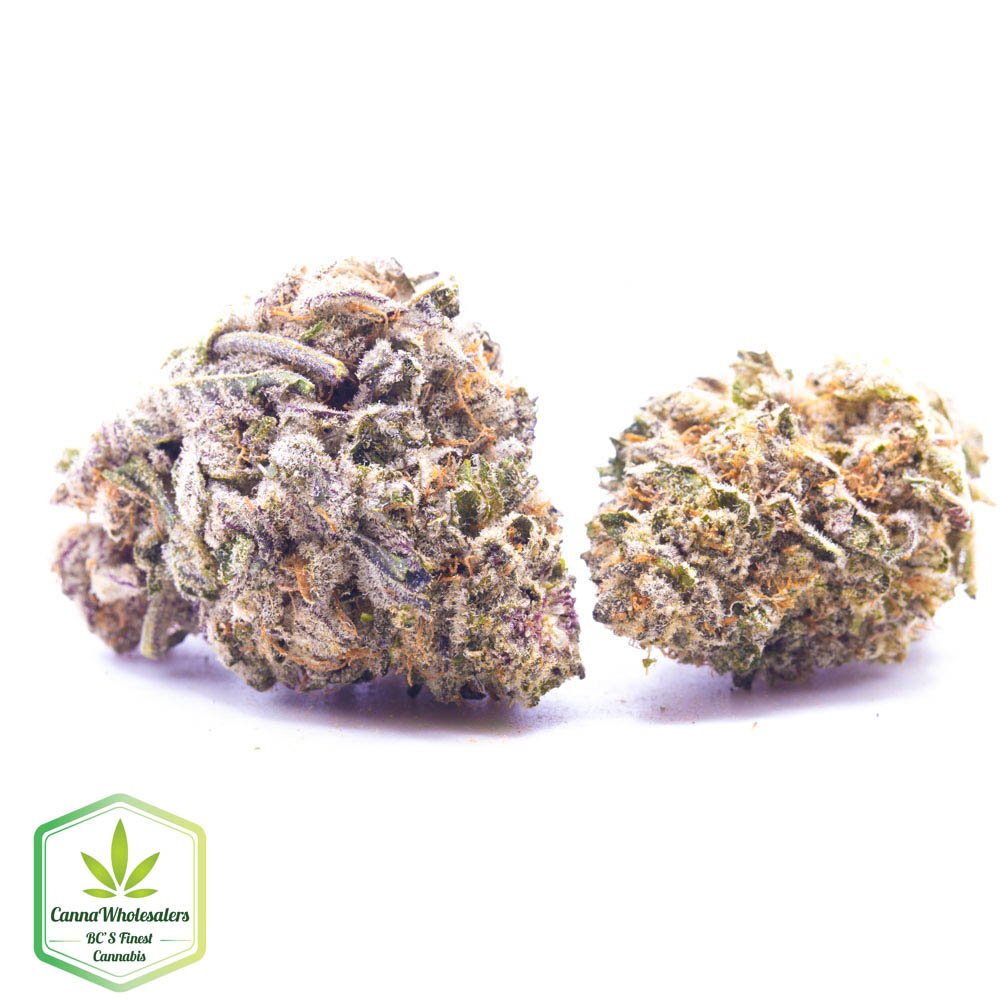 Budget Oz - Purple Dream