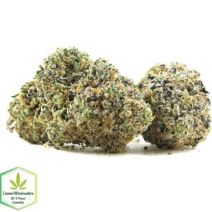 Budget Oz - Purple Space Tuna