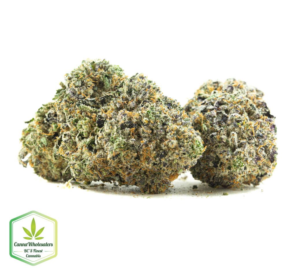 Budget Oz - Purple Space Tuna