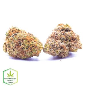 Budget Oz - Raspberry Cough