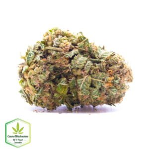 Budget Oz - Rockstar Tuna