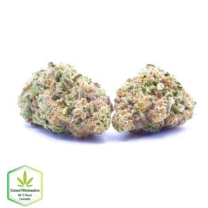 Budget Oz - Sojay Haze