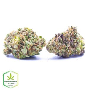 Budget Oz - Super Blue Dream