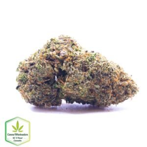 Cannawholesalers - Jelly Breath
