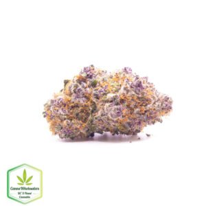 Dolce Gelato - Craft Gardens