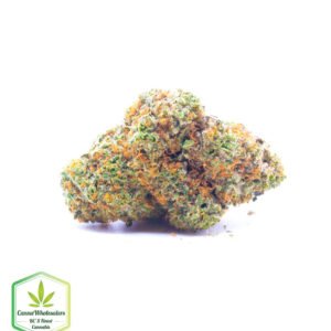 Fire Haze