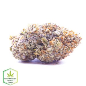 Gorilla Blue
