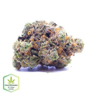 Guava Gelato - Craft Gardens