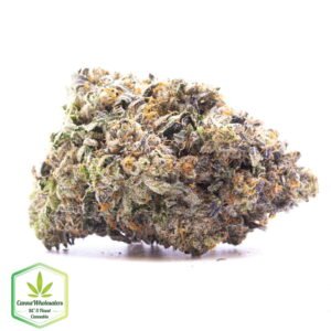 Lindsay OG
