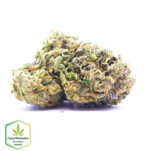 Pineapple Super Silver Haze - Craft Gardens