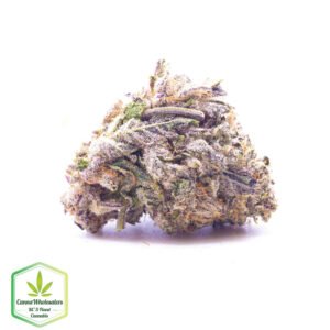 Purple Dream