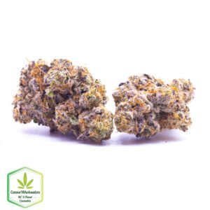 Rainbow - Craft Gardens - Budget Ounce