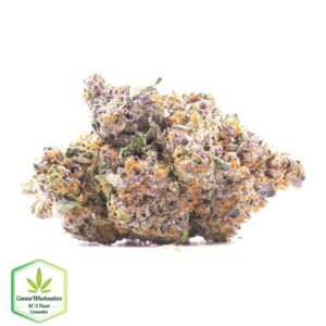 Sugar Black Rose